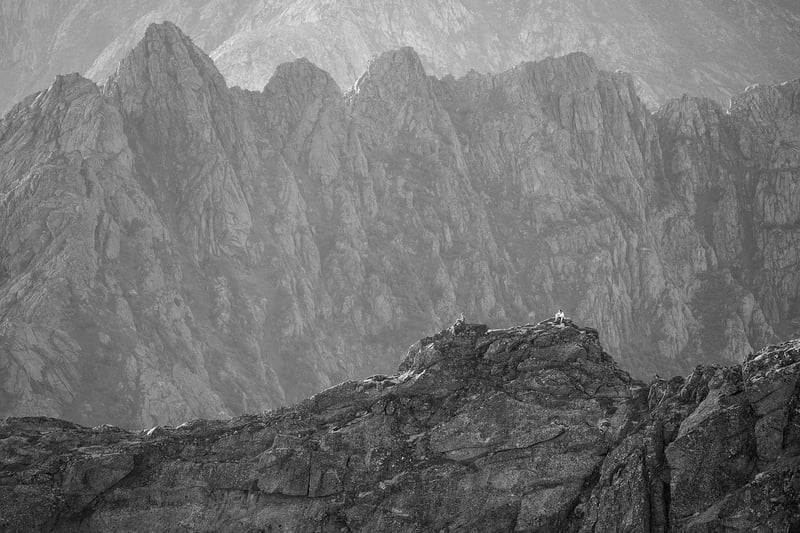 Nature Trails Exploration